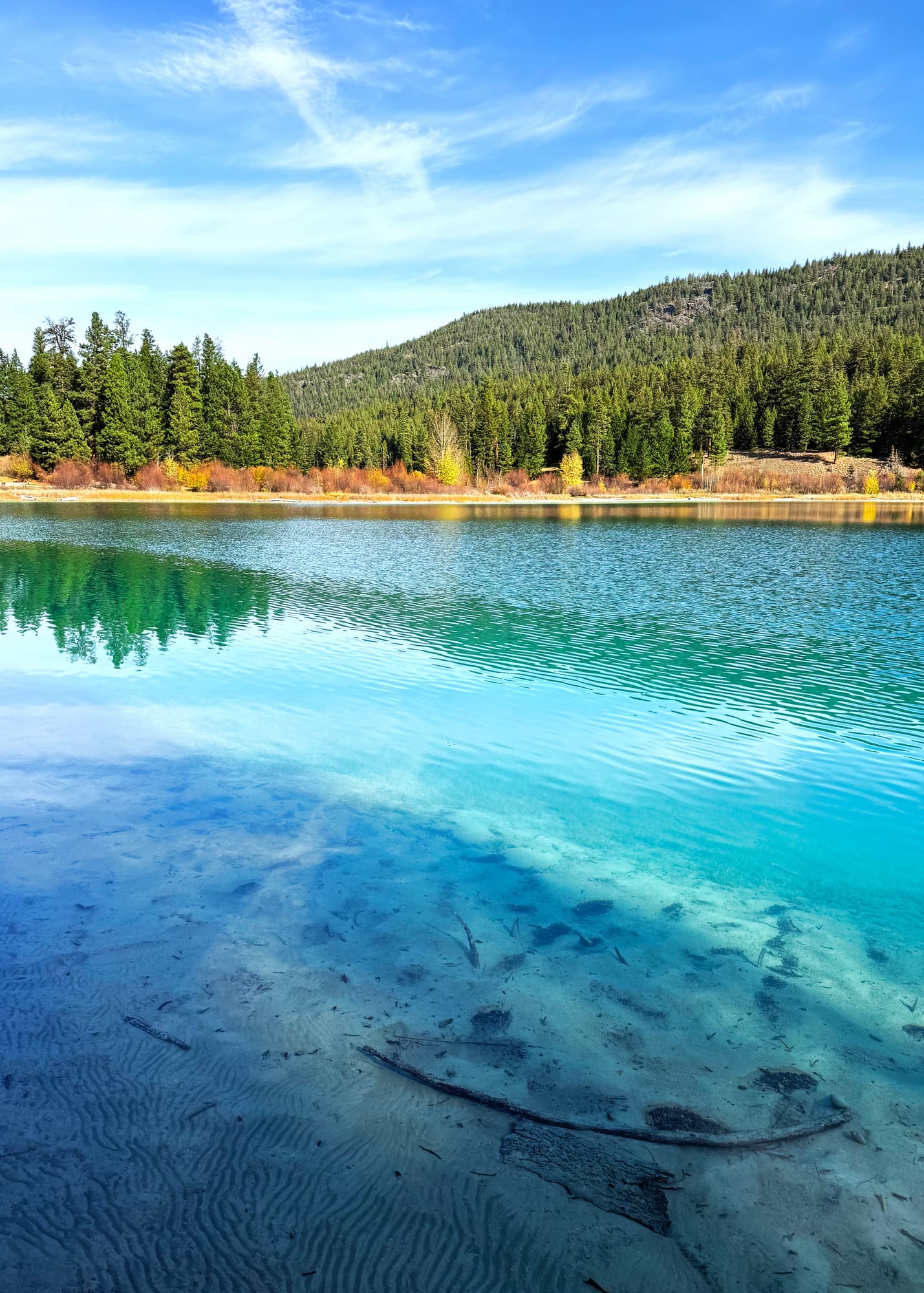 Clear teal and blue lake showing a few branches on a light muddy bottom, lined with green forest even more brilliantly reflected in the water, and lower shrubs in fall colours under a cloud-mottled blue sky with remnants of a contrail.