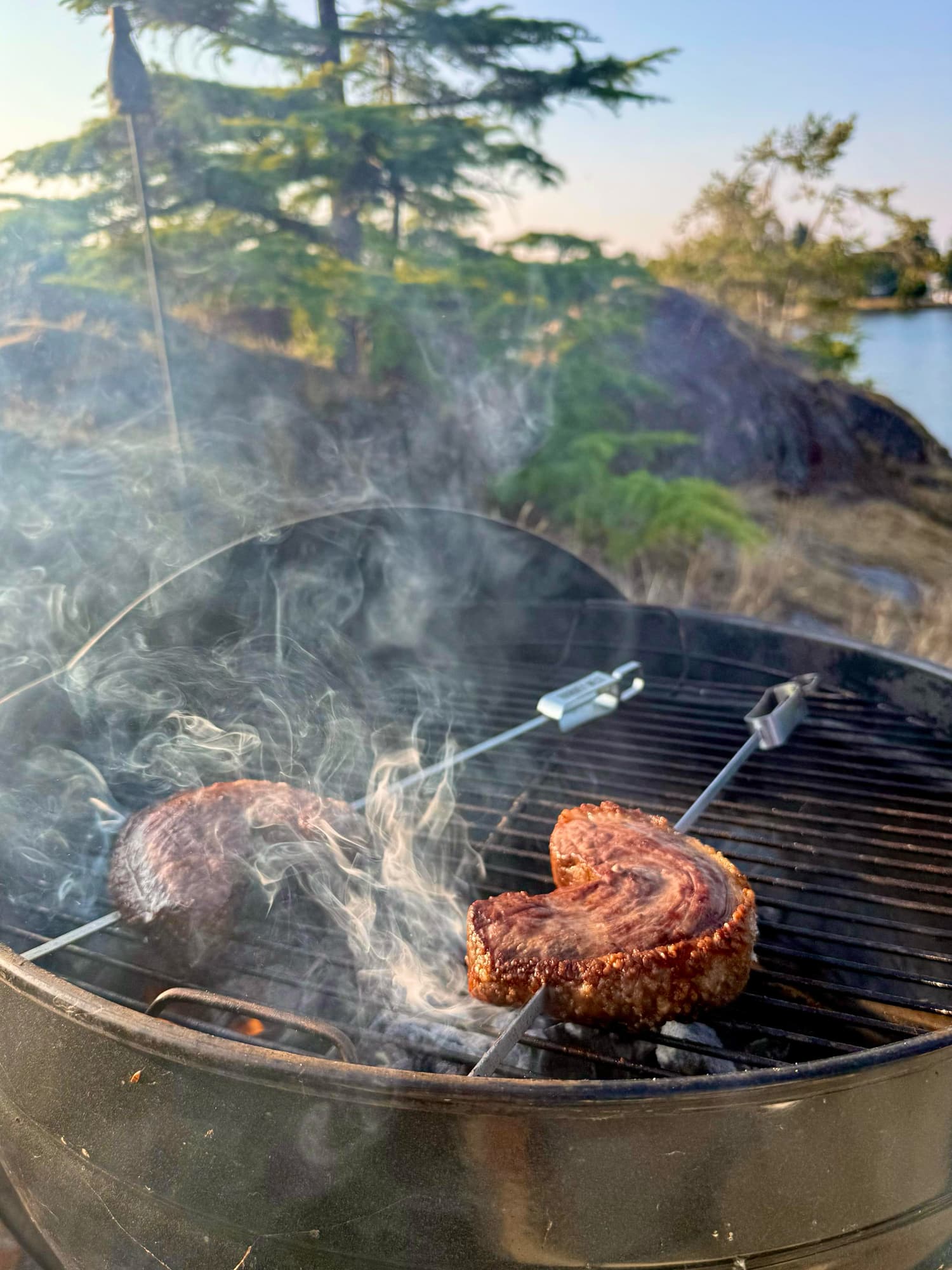 Two skewered curved steaks on a smokey grill with trees, rocks, and ocean in the background