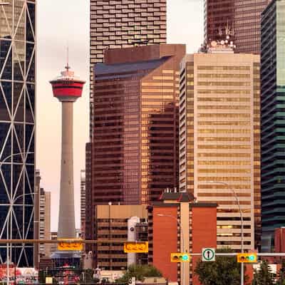 Golden hour skyline of large buildings with the distinctive Calgary Tower in between