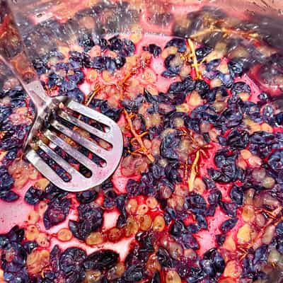 View of relfective metal pot with a metal masher on crushed deep purpple grape skins, pale yellow fruit interiors, pink juice and stems.