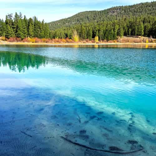 Clear teal and blue lake showing a few branches on a light muddy bottom, lined with green forest even more brilliantly reflected in the water, and lower shrubs in fall colours under a cloud-mottled blue sky with remnants of a contrail.