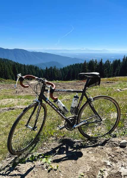 Road bike standing unsupported at the top of a mountain looking down toward forest and other mountains below