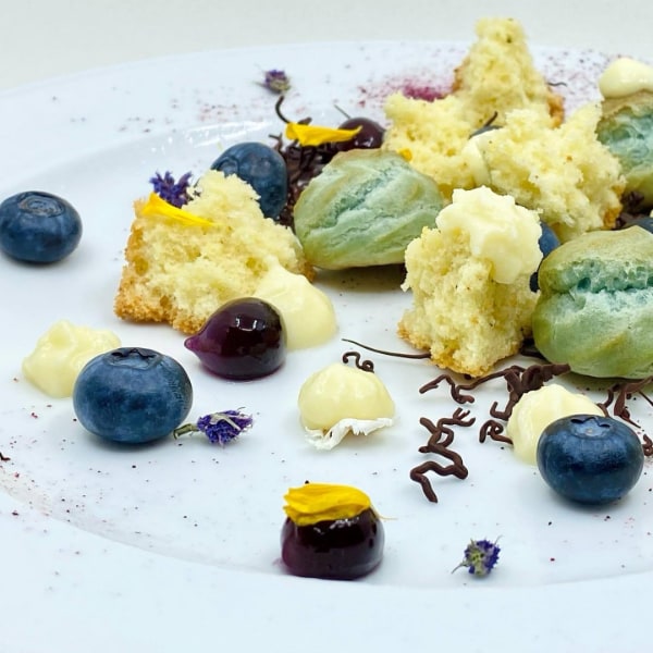 Dessert melange of powder blue pate a choux, golden cake crumbles, blueberries, white cream, and chocolate branches on a white plate