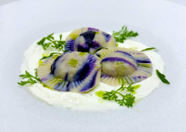 Purple and white striped ravioli garnished with green oil and herbs on a white sauce, high key white background