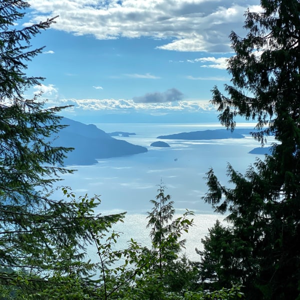 Tree-covered islands jutting out of the ocean as seen between nearby framing trees