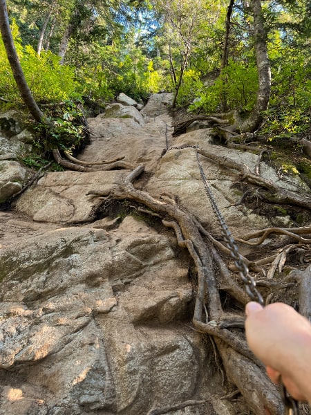 Dirty hand grabbing a chain hanging down from a root-covered rocky cliff face