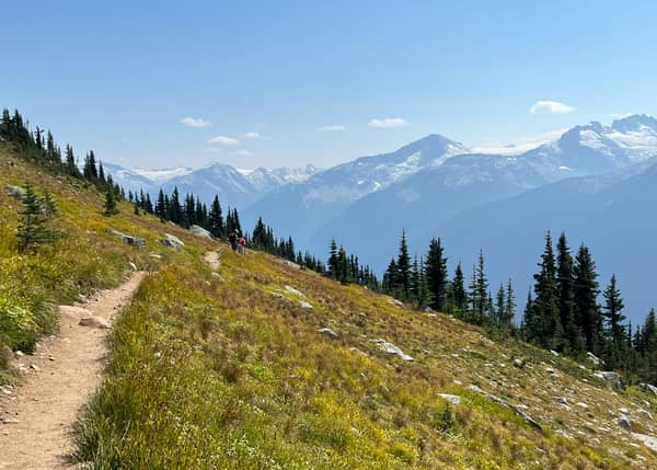 Grass-covered sloping hill runs diagonally out of frame top left to bottom right, jagged blue mountain peaks in the distance